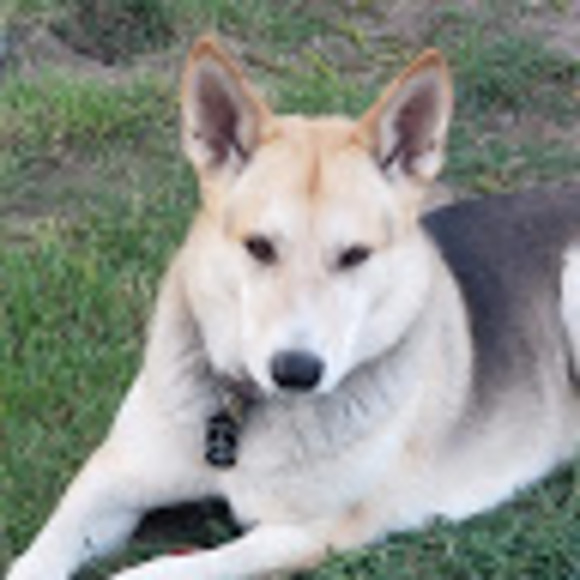 Meet your Posher, Susan - Picture 1 of 1